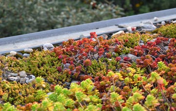 the cost of Hazelbury Bryan green roof installation