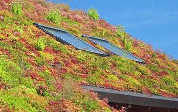Hazelbury Bryan living roof systems