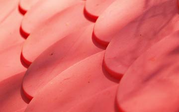 Hazelbury Bryan plastic roof costs