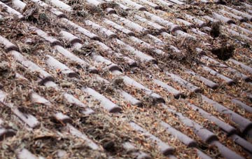 Hazelbury Bryan roof cleaning companies