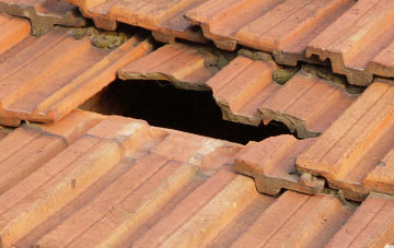 roof repair Hazelbury Bryan, Dorset