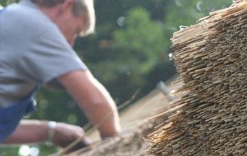 professional Hazelbury Bryan thatchers