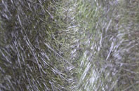 Hazelbury Bryan fibreglass roof work